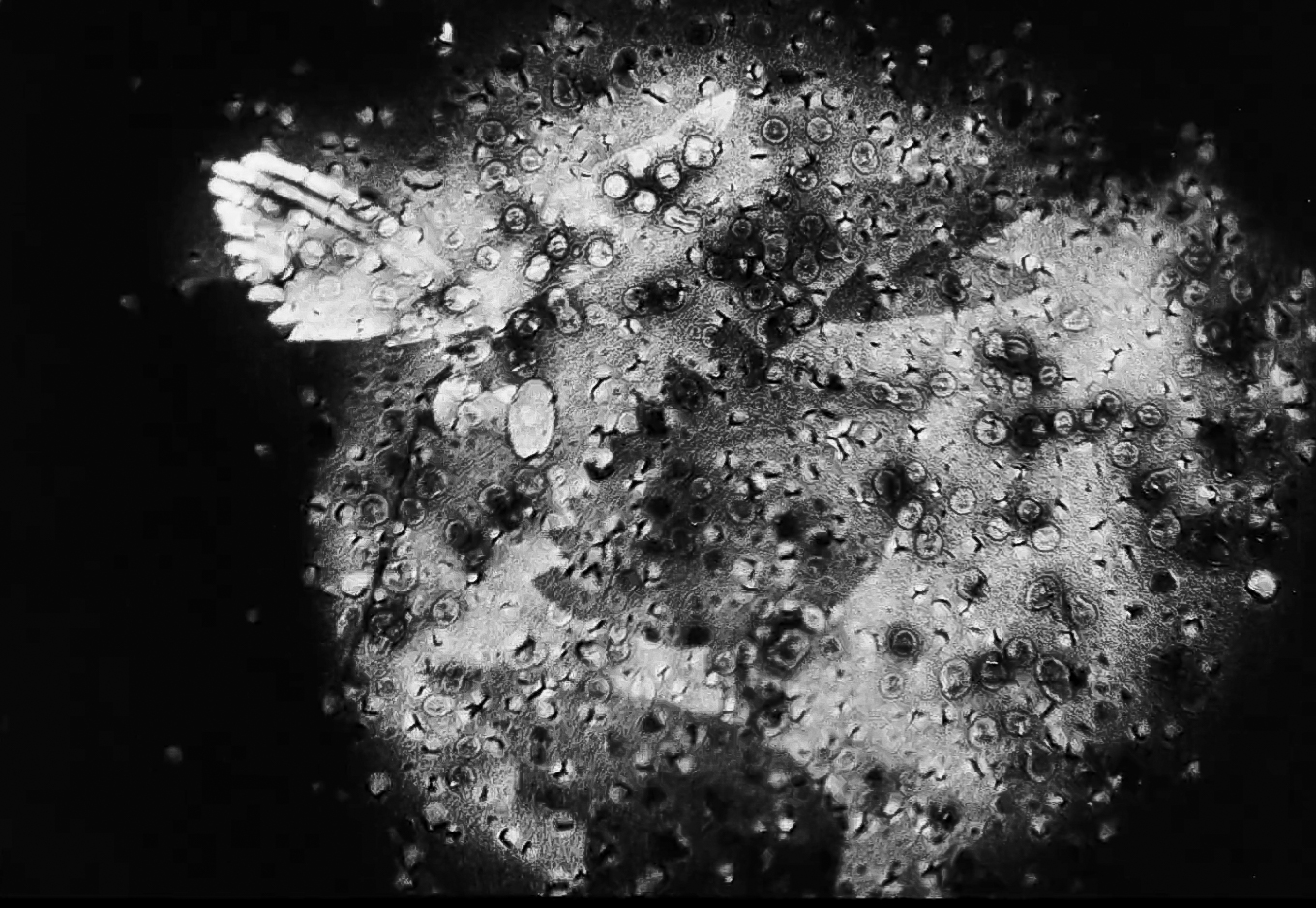Turbulence Still 04